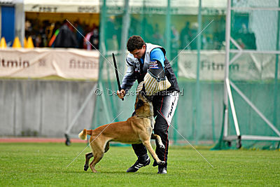 Parendo Vinces Alexander