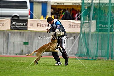 Parendo Vinces Alexander