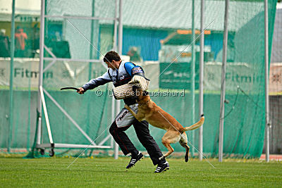 Parendo Vinces Alexander