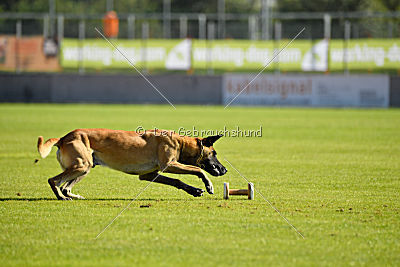 Parendo Vinces Alexander