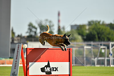 Parendo Vinces Alexander