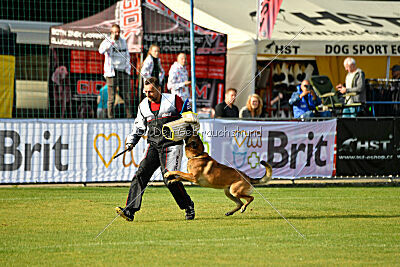 Parendo Vinces Always Dare