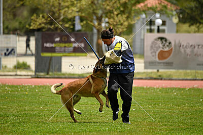 Parendo Vinces Always Dare