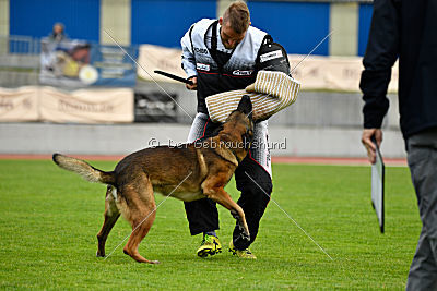 Parendo Vinces Captain Koons