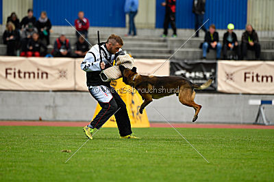 Parendo Vinces Captain Koons