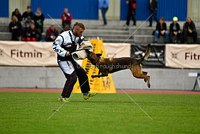 Parendo Vinces Captain Koons