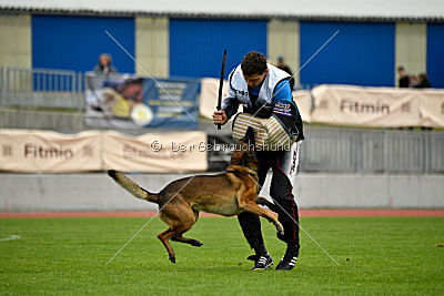 Parendo Vinces Captain Koons