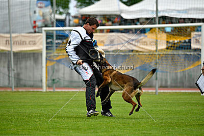 Parendo Vinces Captain Koons