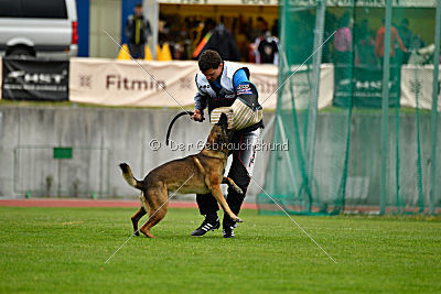 Parendo Vinces Captain Koons