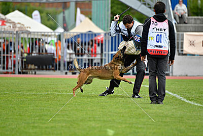 Parendo Vinces Cordell Walker