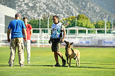 Parendo Vinces Fortunae Filius