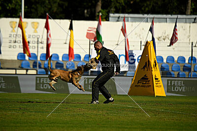 Parendo Vinces Fortunae Filius