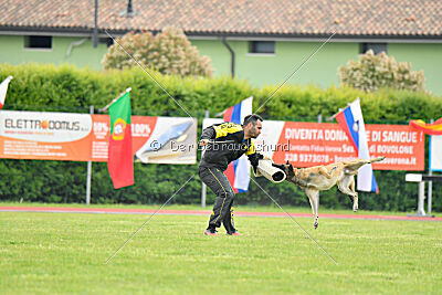 Parendo Vinces Fortunae Filius