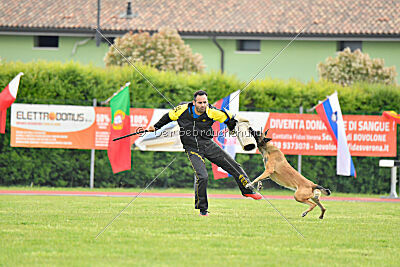 Parendo Vinces Fortunae Filius