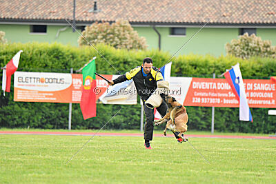 Parendo Vinces Fortunae Filius