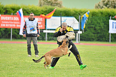 Parendo Vinces Fortunae Filius