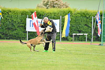 Parendo Vinces Fortunae Filius