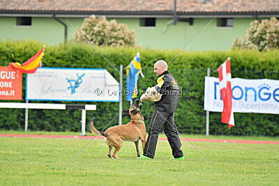 Parendo Vinces Fortunae Filius