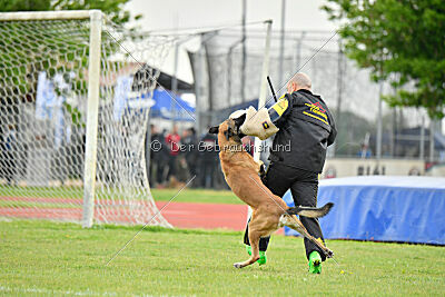 Parendo Vinces Fortunae Filius