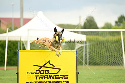 Parendo Vinces Fortunae Filius