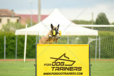 Parendo Vinces Fortunae Filius