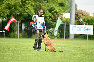 Parendo Vinces Fortunae Filius