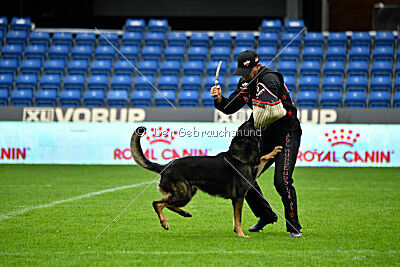 Pascha vom Stadtfeld