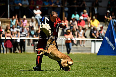 Patriot Dei Bonaccorso