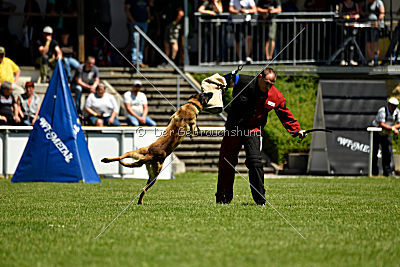 Patriot Dei Bonaccorso