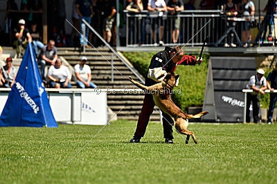 Patriot Dei Bonaccorso