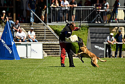 Patriot Dei Bonaccorso