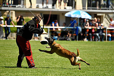 Patriot Dei Bonaccorso