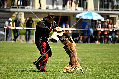 Patriot Dei Bonaccorso