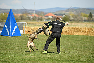 Patriot van de Berlex-Hoeve
