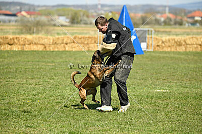 Patriot van de Berlex-Hoeve
