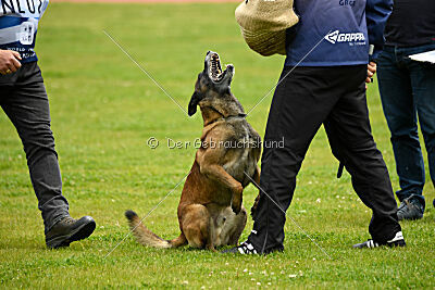 Patriot van de Berlex-Hoeve