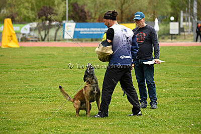 Patriot van de Berlex-Hoeve