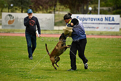 Patriot van de Berlex-Hoeve