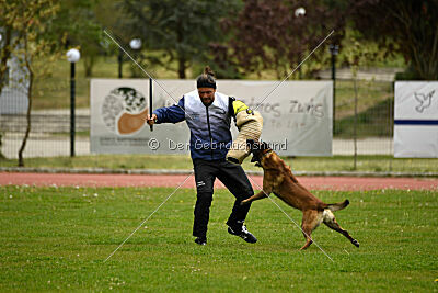 Patriot van de Berlex-Hoeve