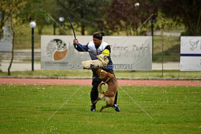 Patriot van de Berlex-Hoeve