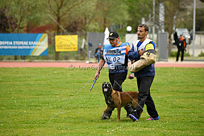 Patriot van de Berlex-Hoeve