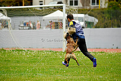 Patriot van de Berlex-Hoeve