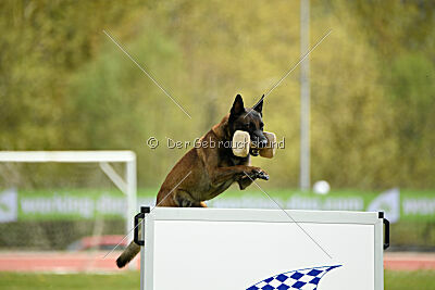 Patriot van de Berlex-Hoeve