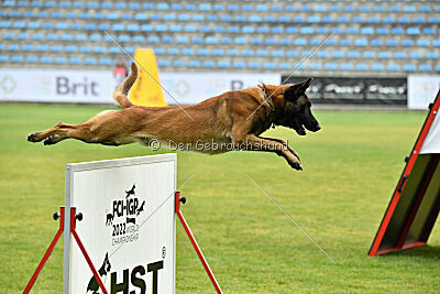 Paxx from Marrax Place