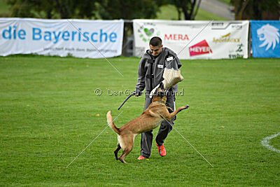 Pearl vom Kistenstein