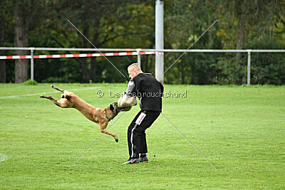 Pearl vom Kistenstein