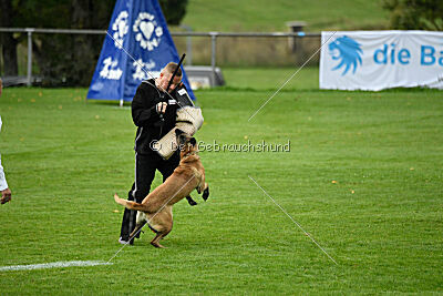 Pearl vom Kistenstein