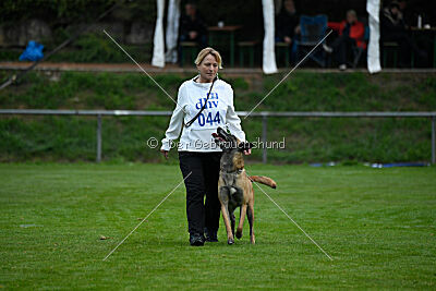 Pearl vom Kistenstein