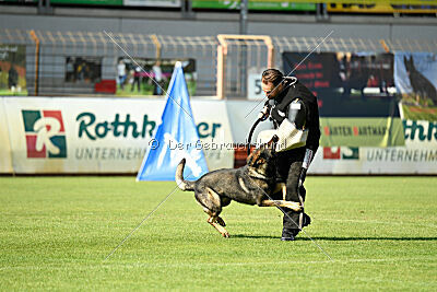 Peersy von der Lobdeburg