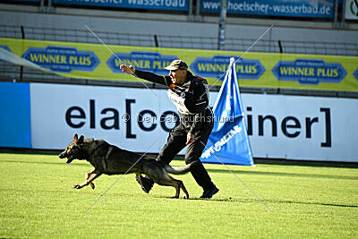 Peersy von der Lobdeburg